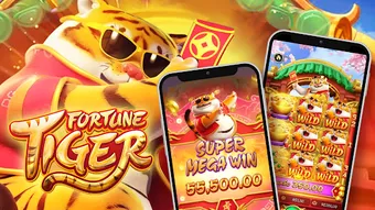 fortune tiger app 50